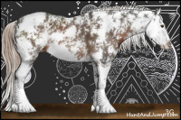 Horse Color:Liver Chestnut Sabino Splash 