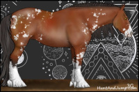 Horse Color:Bay Sabino Rabicano 