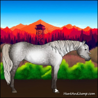 Horse Color:Gray Silver Black 