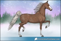 Horse Color:Silver Black 