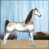 Horse Color:Classic Champagne Roan Splash Frame 