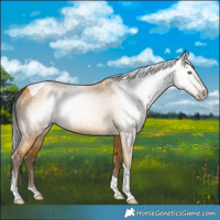 Horse Color:Gray Amber Cream Champagne Tobiano 
