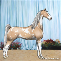 Horse Color:White Spotted Silver Classic Champagne Splash 