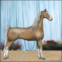 Horse Color:Silver Smoky Black Splash