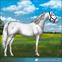 Horse Color:Gray White Spotted Bay Roan Rabicano 