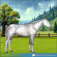 Horse Color:Gray Silver Grullo Tobiano
