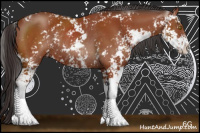 Horse Color:Brown Sabino Rabicano 