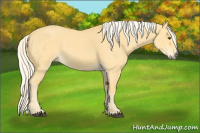 Horse Color:Palomino Dun 