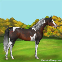 Horse Color:Brown Splash Tobiano 