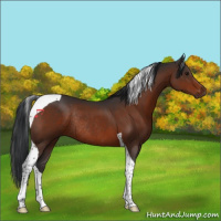 Horse Color:Brown Tobiano Rabicano 