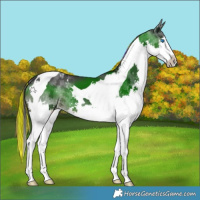 Horse Color:Painted Black Splash Tobiano 