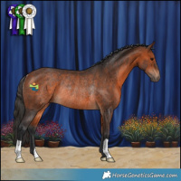 Horse Color:Bay Rabicano 