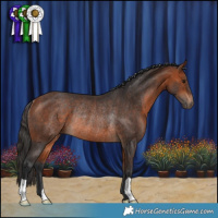 Horse Color:Bay Rabicano 