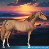 Horse Color:Chestnut Rabicano 