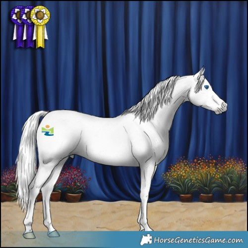 Horse Color:Gray Red Roan Splash Rabicano 