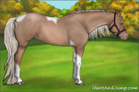 Horse Color:Silver Black Pearl Tobiano Rabicano 