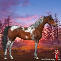 Horse Color:Brown Tobiano Frame 