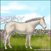 Horse Color:Cremello Dun 
