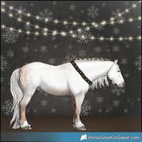 Horse Color:Gray Silver Amber Champagne 