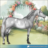 Horse Color:White Spotted Silver Bay Chinchilla Dun 