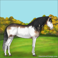 Horse Color:Brown Onyx Splash Frame Rabicano 