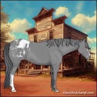 Horse Color:Classic Champagne Chinchilla Blanket 
