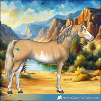 Horse Color:White Spotted Palomino Dun 