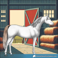 Horse Color:Gray Grullo Varnish 