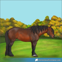 Horse Color:Brown 