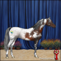 Horse Color:White Spotted Brown Rabicano 