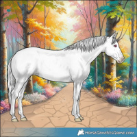 Horse Color:Classic Champagne Chinchilla Dun Appaloosa 