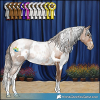 Horse Color:White Spotted Brown Pearl 