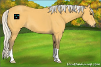 Horse Color:Silver Buckskin 