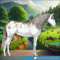 Horse Color:White Spotted Bay Dun Splash Appaloosa 