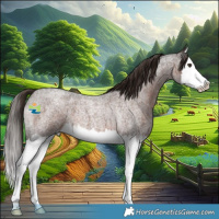 Horse Color:Liver Red Roan Splash 