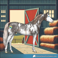 Horse Color:White Spotted Liver Chestnut Sabino Splash Rabicano 