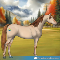 Horse Color:Red Dun 