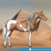 Horse Color:Silver Black Pearl Tobiano 