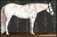 Horse Color:Gold Champagne Sabino Splash Varnish 