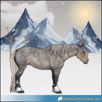 Horse Color:Silver Smoky Blue Roan 
