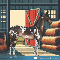 Horse Color:White Spotted Brown Tobiano