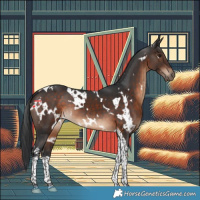 Horse Color:White Spotted Brown Tobiano 