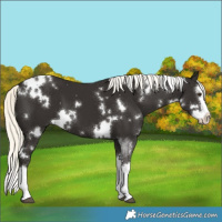 Horse Color:White Spotted Liver Chestnut Mushroom Splash 
