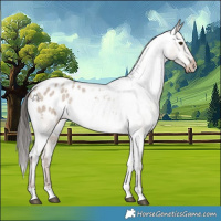 Horse Color:White Spotted Liver Red Dun Roan Appaloosa Rabicano 