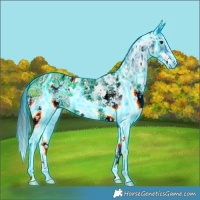 Horse Color:ERROR: UNKNOWN ANOMALY