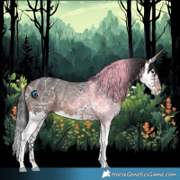 Horse Color:Brown Ice Splash Rabicano 