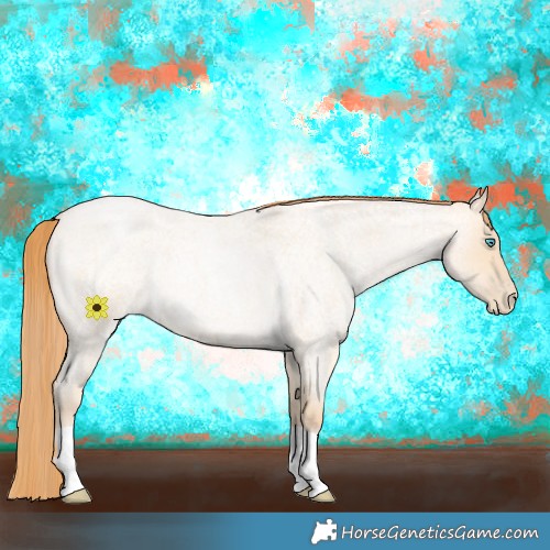 Horse Color:Buckskin Roan Pearl 