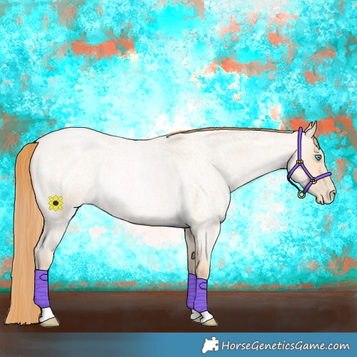 Horse Color:Buckskin Roan Pearl 