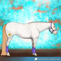 Horse Color:Buckskin Roan Pearl 