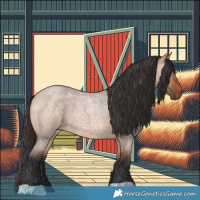 Horse Color:Bay Roan Dun 